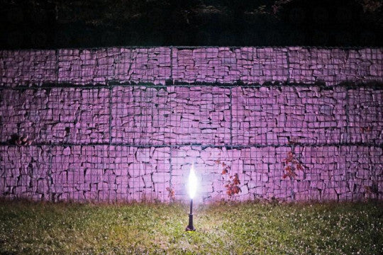 Starklicht Bengalfackel, Purpur (Bengalo)